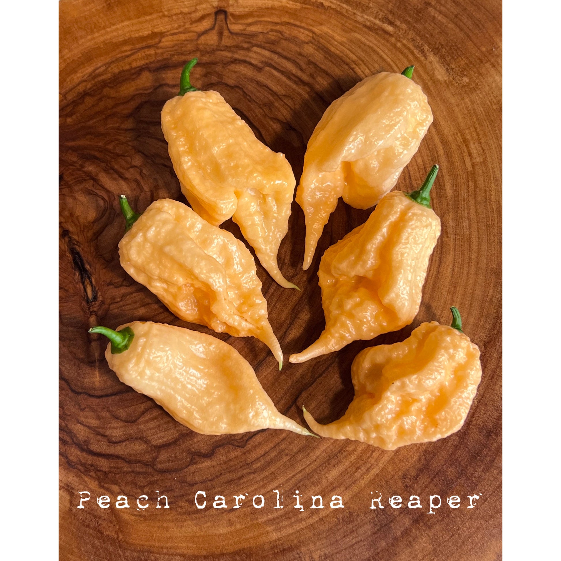 Carolina Reaper - Peach - Hot Pepper Seeds