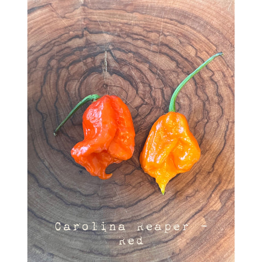 Carolina Reaper - Red - Hot Pepper Seeds