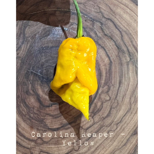 Carolina Reaper - Yellow - Hot Pepper Seeds