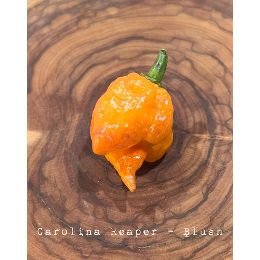Carolina Reaper - Blush - Hot Pepper Seeds