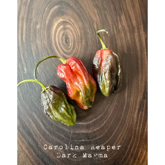 Carolina Reaper - Dark Magma Hot Pepper Seeds