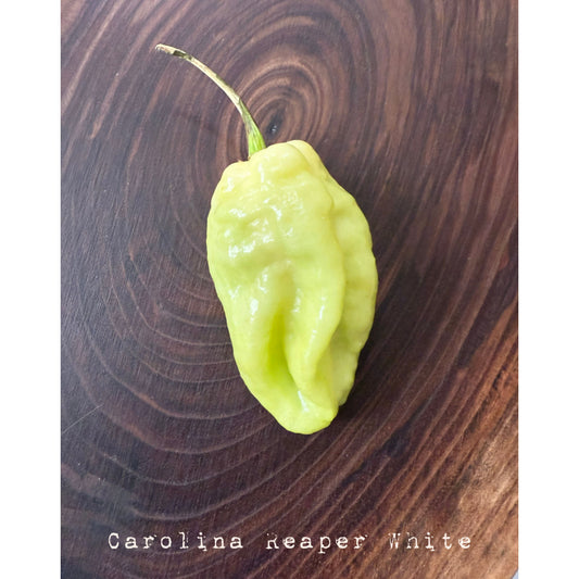 Carolina Reaper - White Hot Pepper Seeds