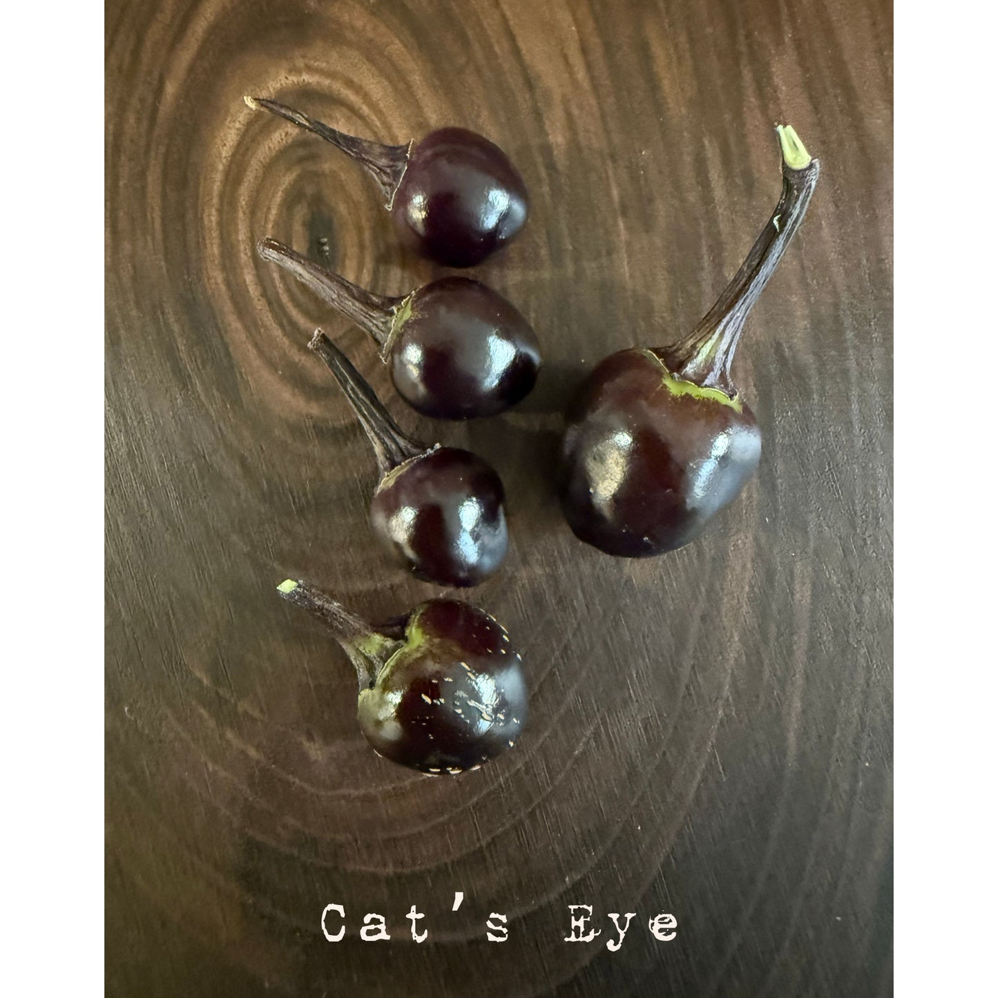 Cat's Eye Hot Pepper Seeds