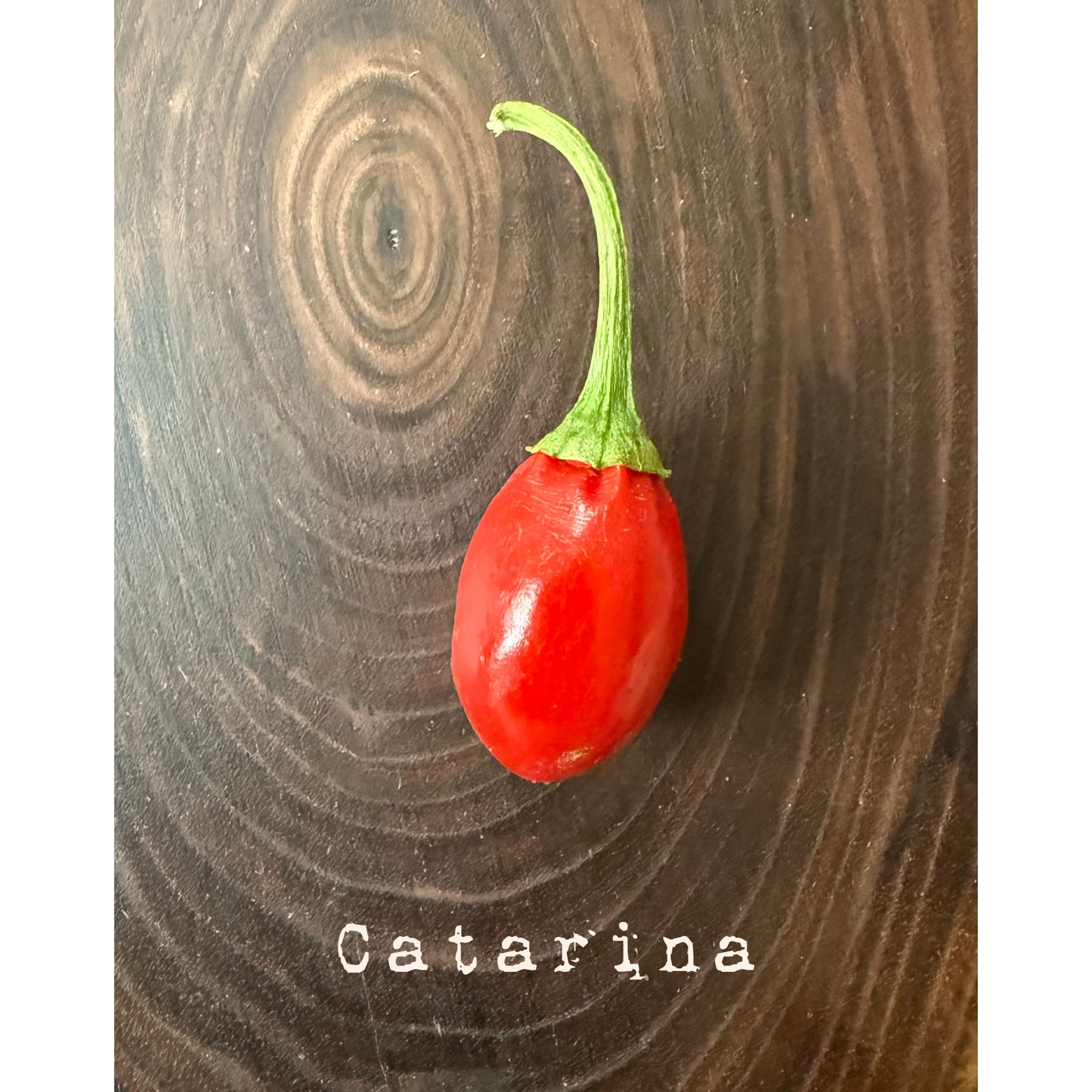 Catarina Hot Pepper Seeds