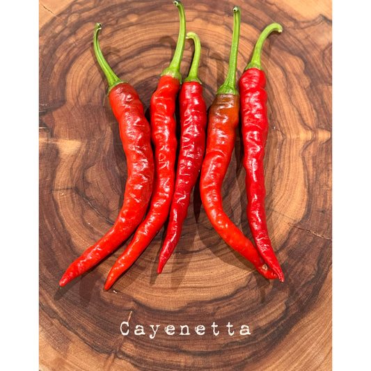 Cayennetta - Hot Pepper Seeds