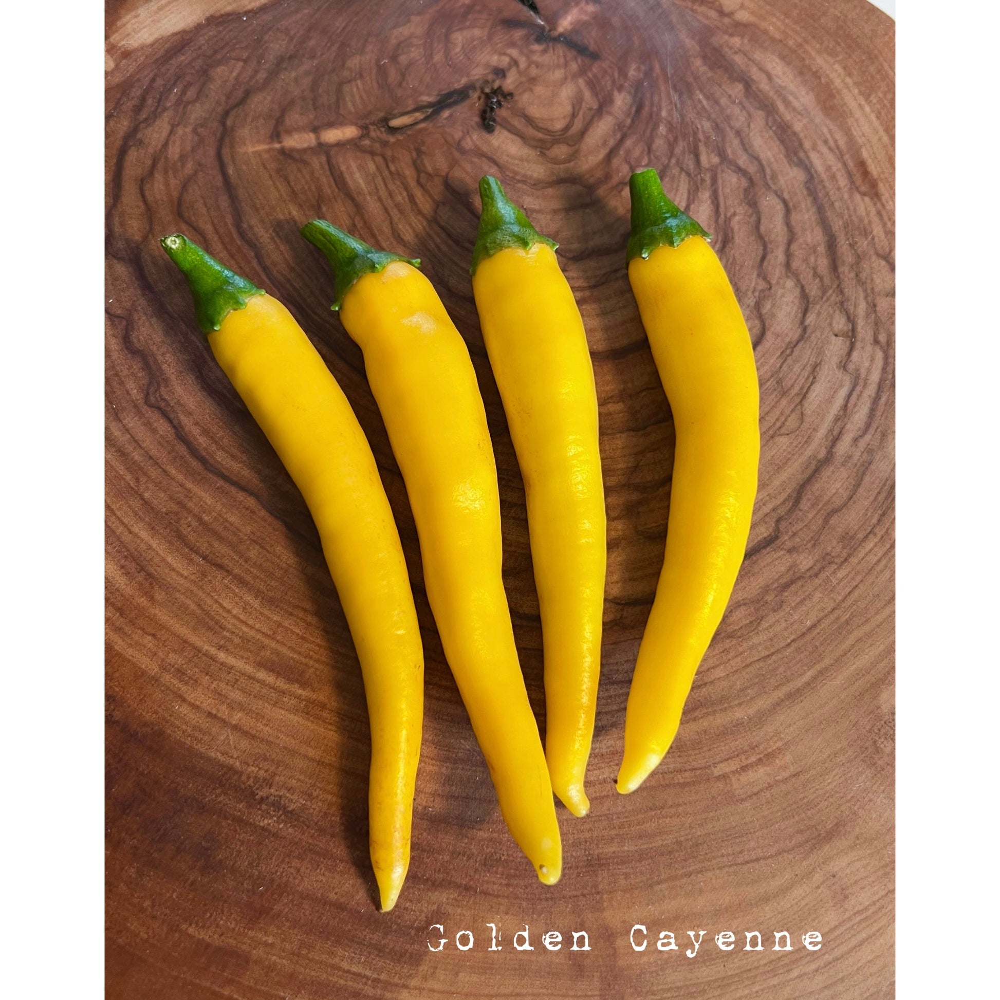 Cayenne - Golden - Hot Pepper Seeds