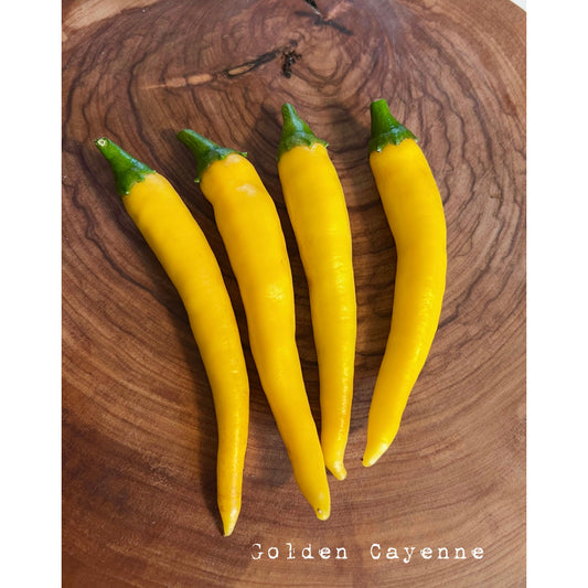 Cayenne - Golden - Hot Pepper Seeds