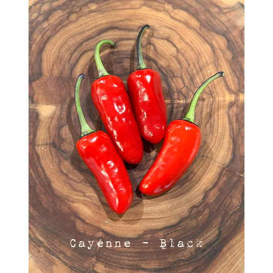 Cayenne - Black - Hot Pepper Seeds