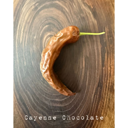 Cayenne - Chocolate Hot Pepper Seeds