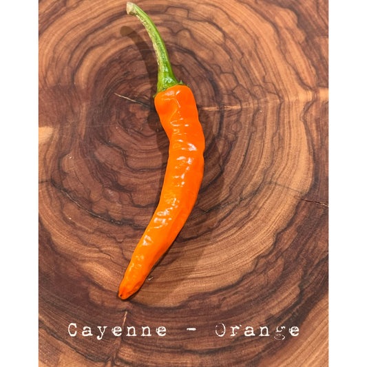 Cayenne - Orange - Hot Pepper Seeds