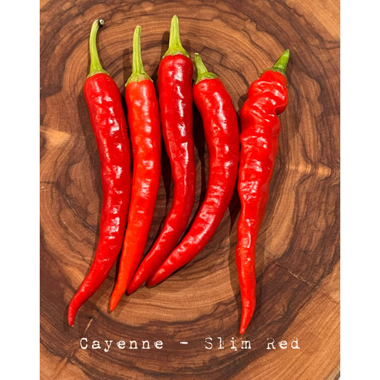 Cayenne - Slim Red - Hot Pepper Seeds