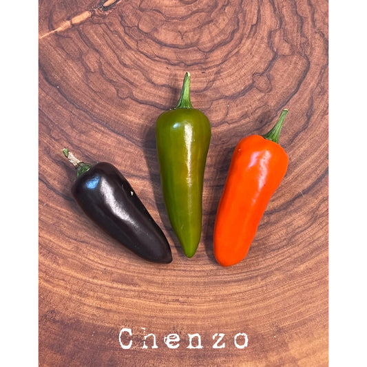 Chenzo - Hot Pepper Seeds
