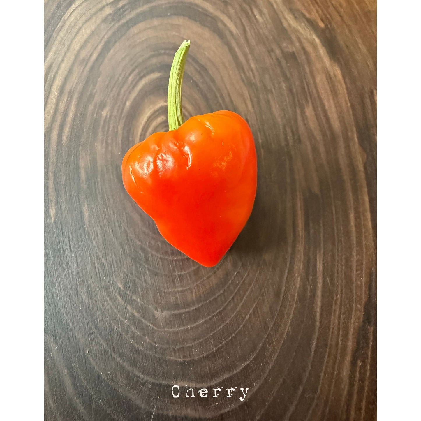Cherry Tart Hot Pepper Seeds