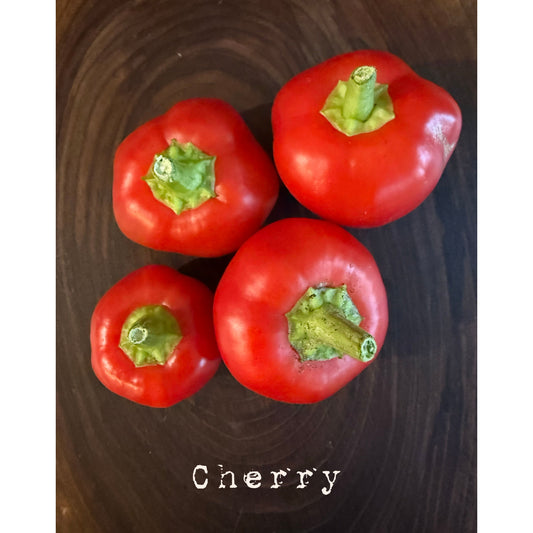 Cherry Pepper  Hot Pepper Seeds