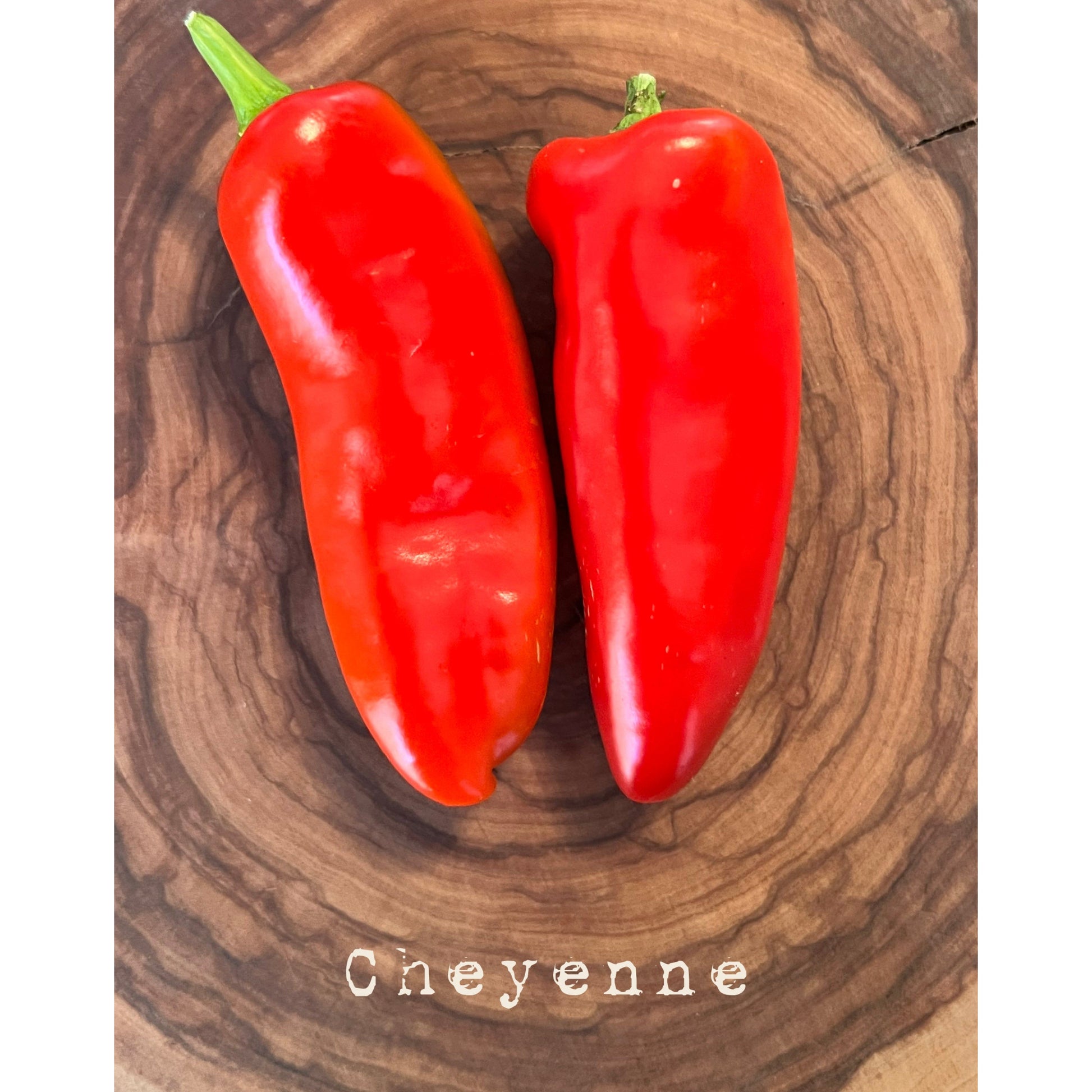 Cheyenne - Hot Pepper Seeds