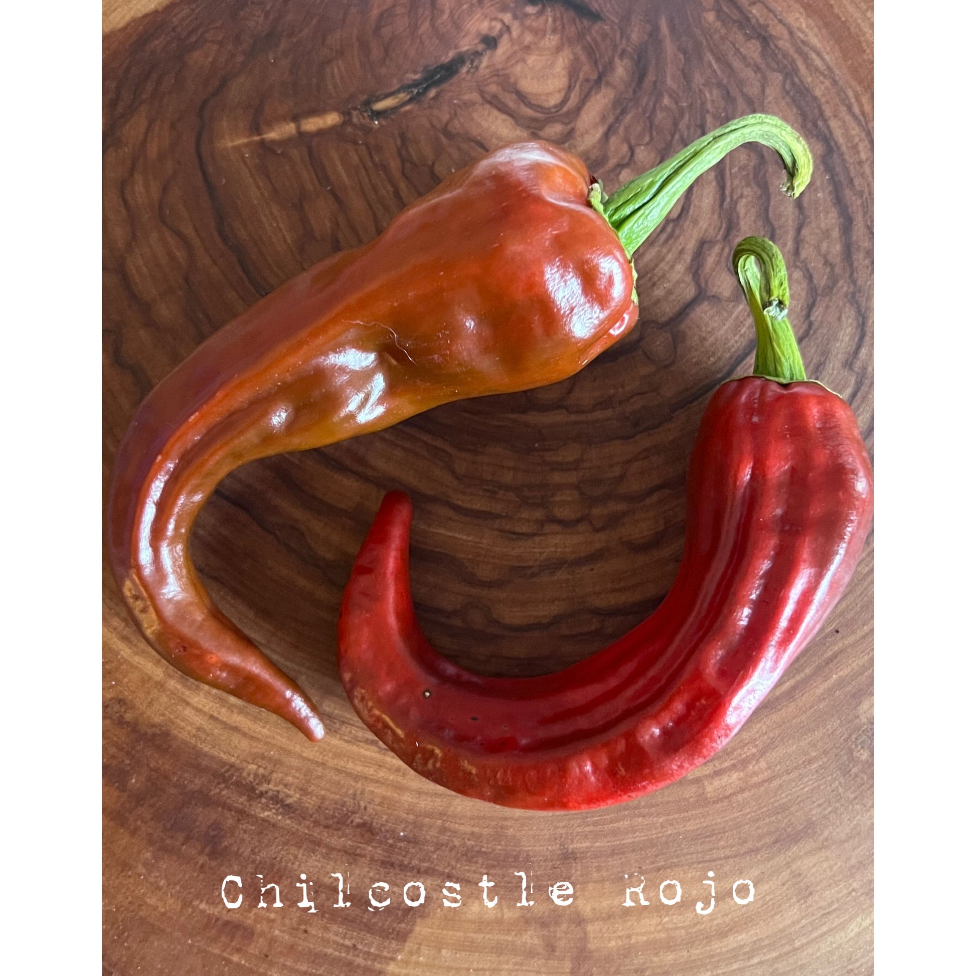 Chilcostle Rojo - Hot Pepper Seeds