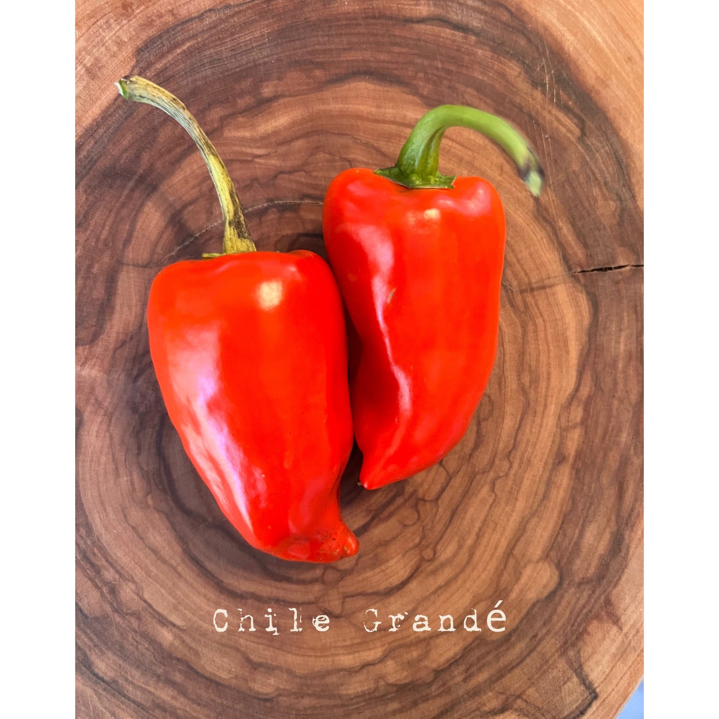 Chile Grand√© - Hot Pepper Seeds