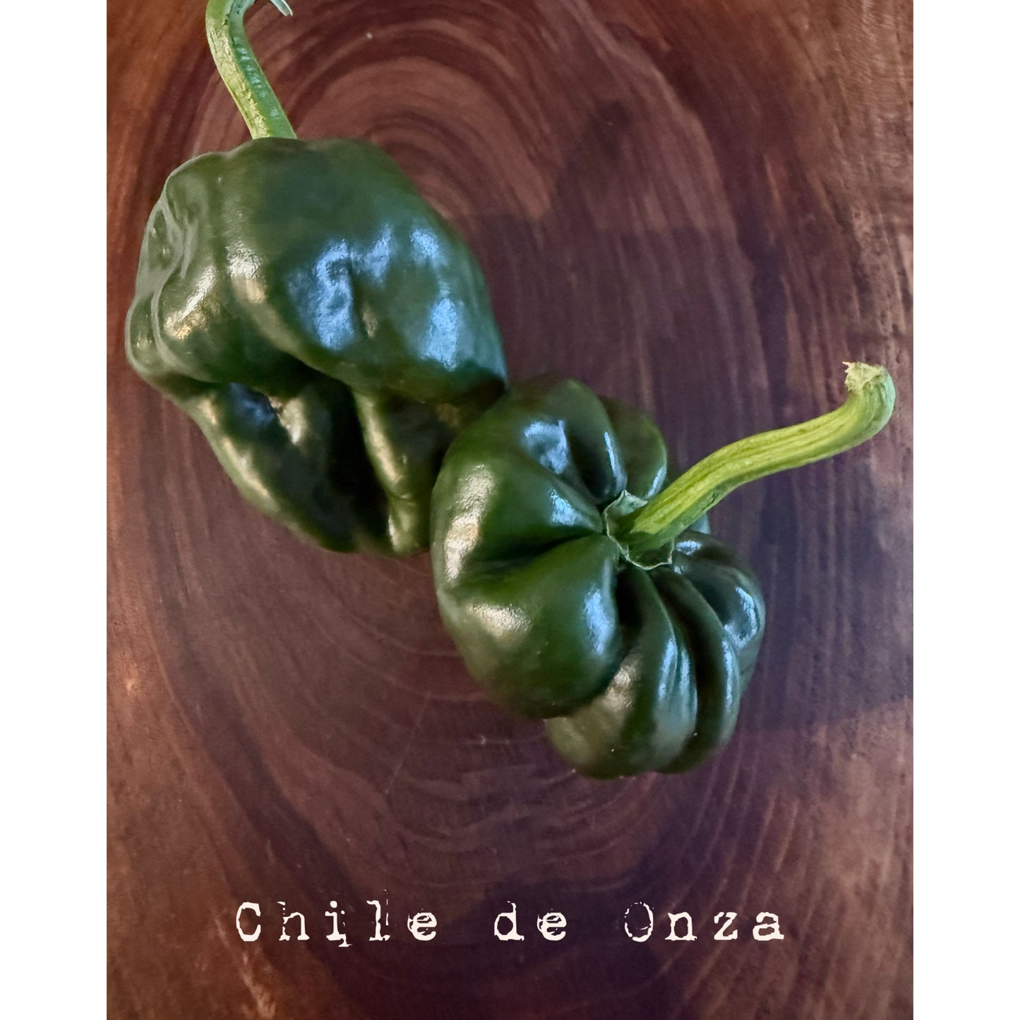 Chile de Onza Hot Pepper Seeds