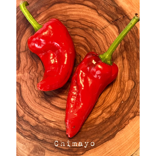 Chimayo - Hot Pepper Seeds