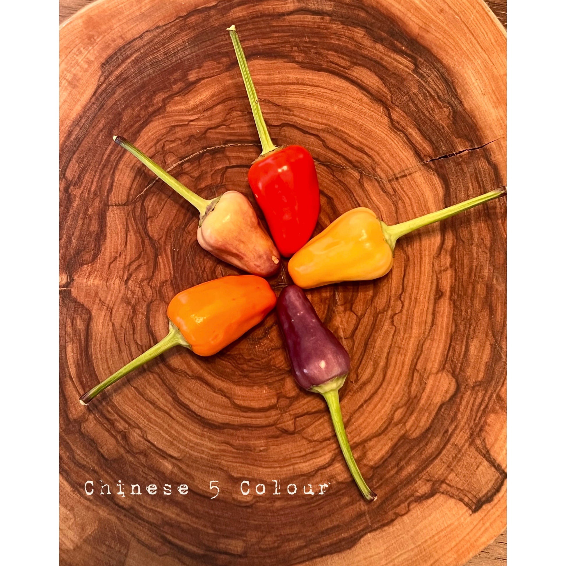 Chinese 5 Colour - Hot Pepper Seeds
