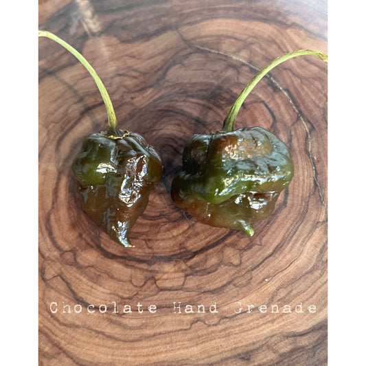 Chocolate Hand Grenade - Hot Pepper Seeds