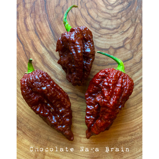 Chocolate Naga Brains - Hot Pepper Seeds