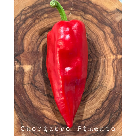 Chirozero Pimento - Hot Pepper Seeds