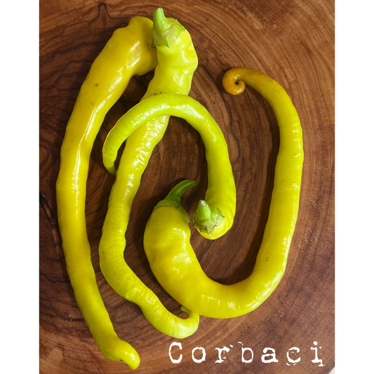 Corbaci - Hot Pepper Seeds
