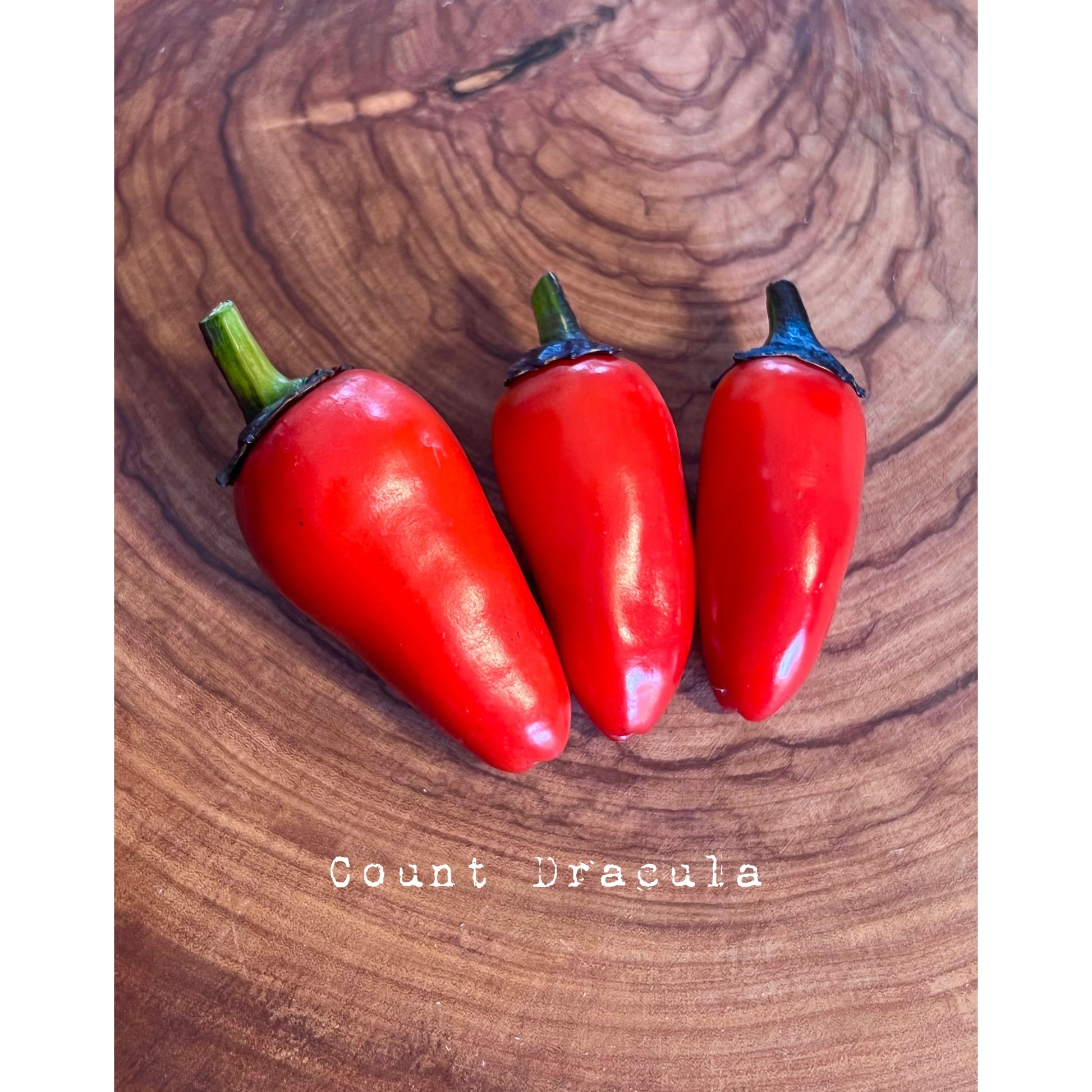 Count Dracula (Heirloom)- Hot Pepper Seeds