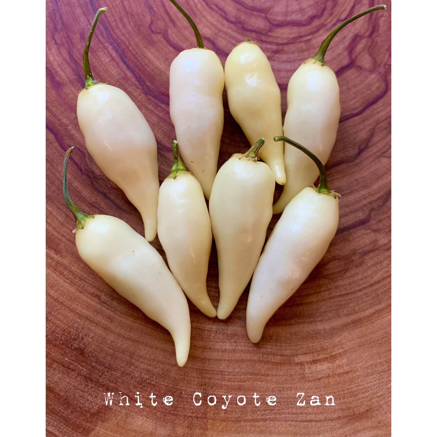 Coyote Zan (White) - Hot Pepper Seeds