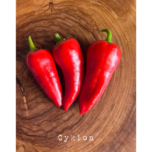 Cyklon - Hot Pepper Seeds