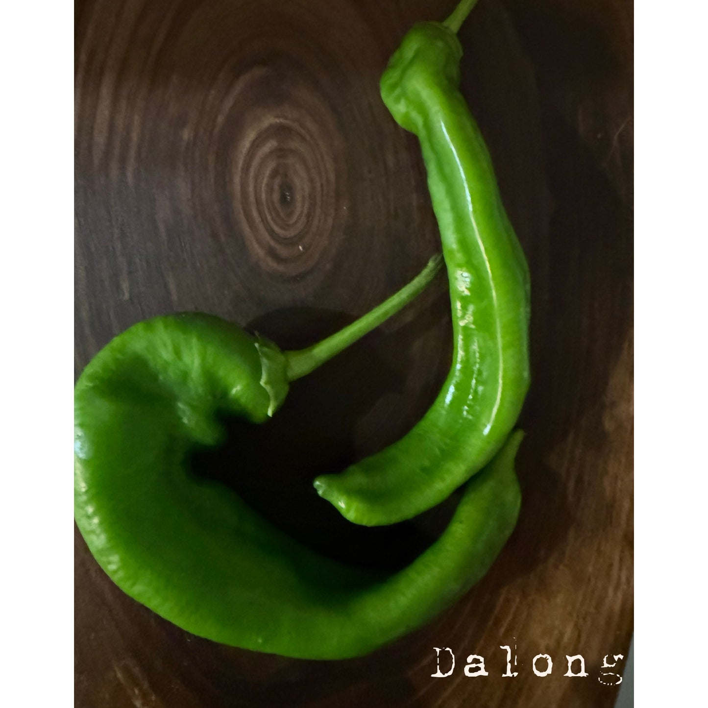 Dalong 845 F1 Hot Pepper Seeds