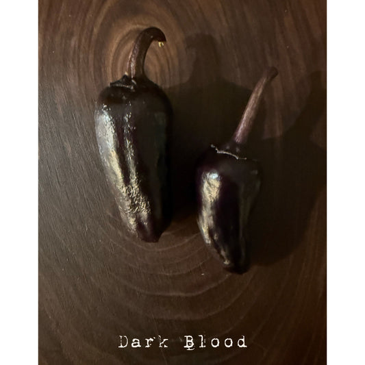 Dark Blood Hot Pepper Seeds