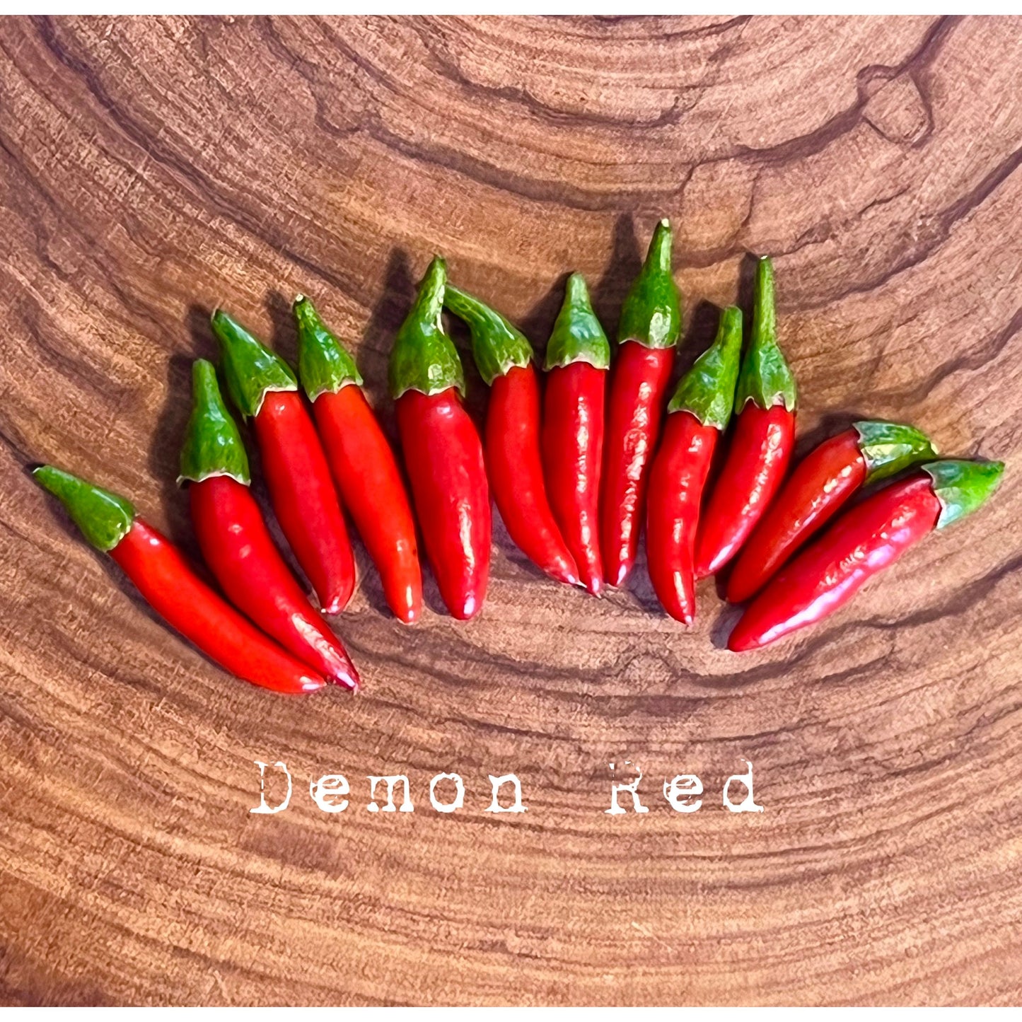 Demon Red - Hot Pepper Seeds