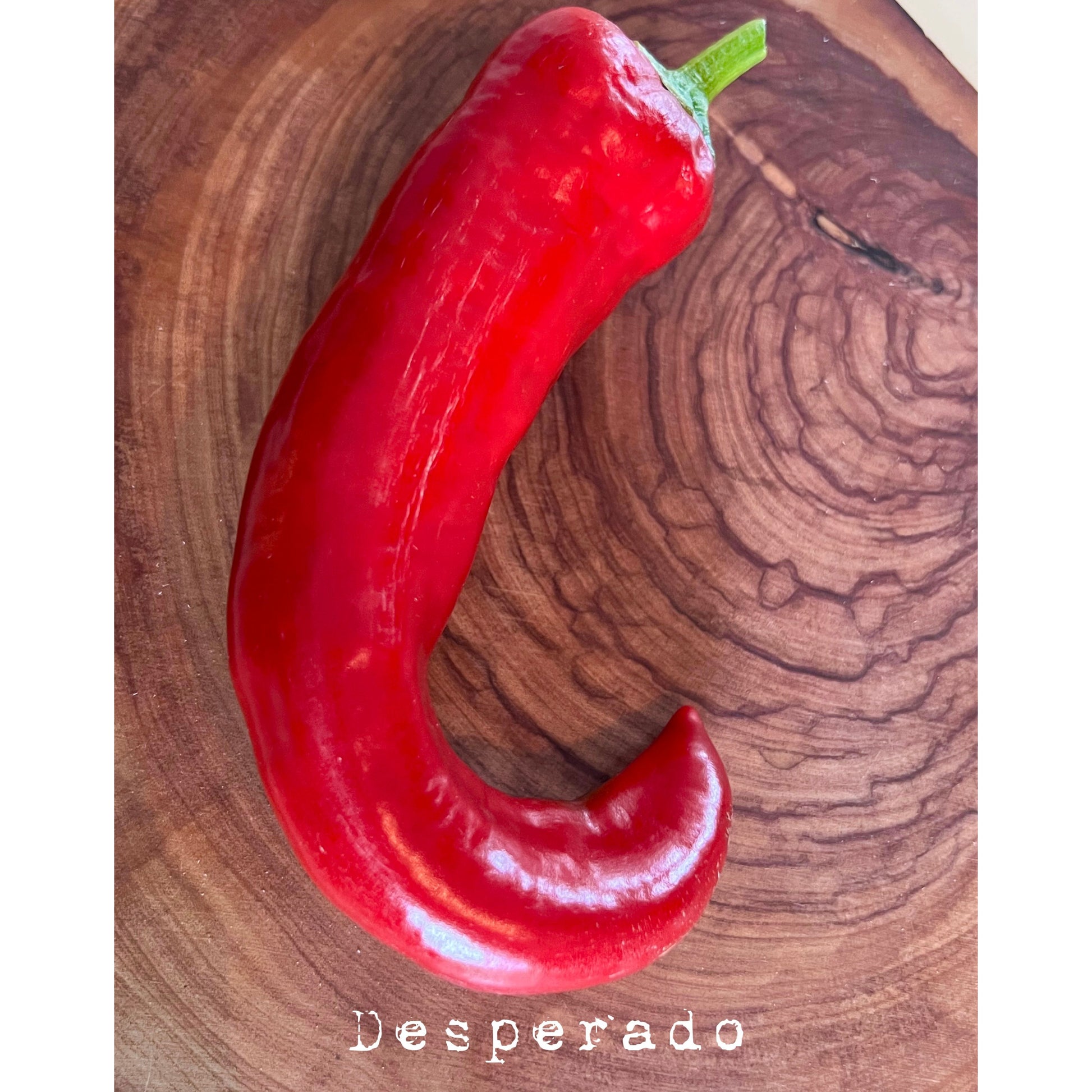 Desperado- Hot Pepper Seeds