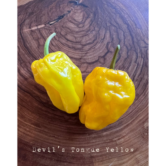 Devil's Tongue - Yellow - Hot Pepper Seeds