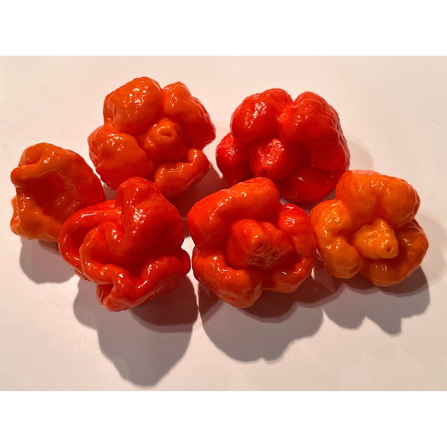 Dragon's Breath - Hot Pepper Seeds