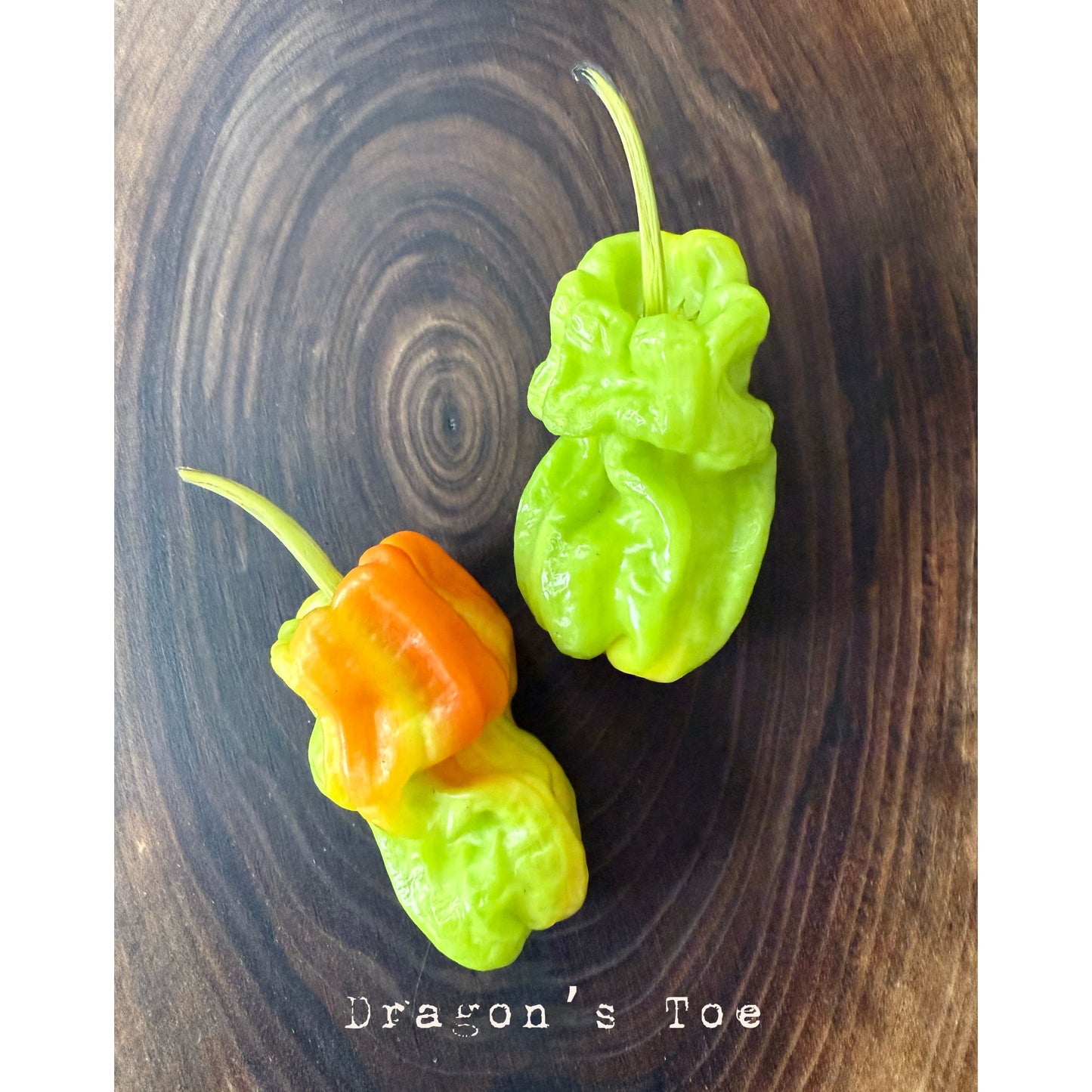 Dragon's Toe Hot Pepper Seeds