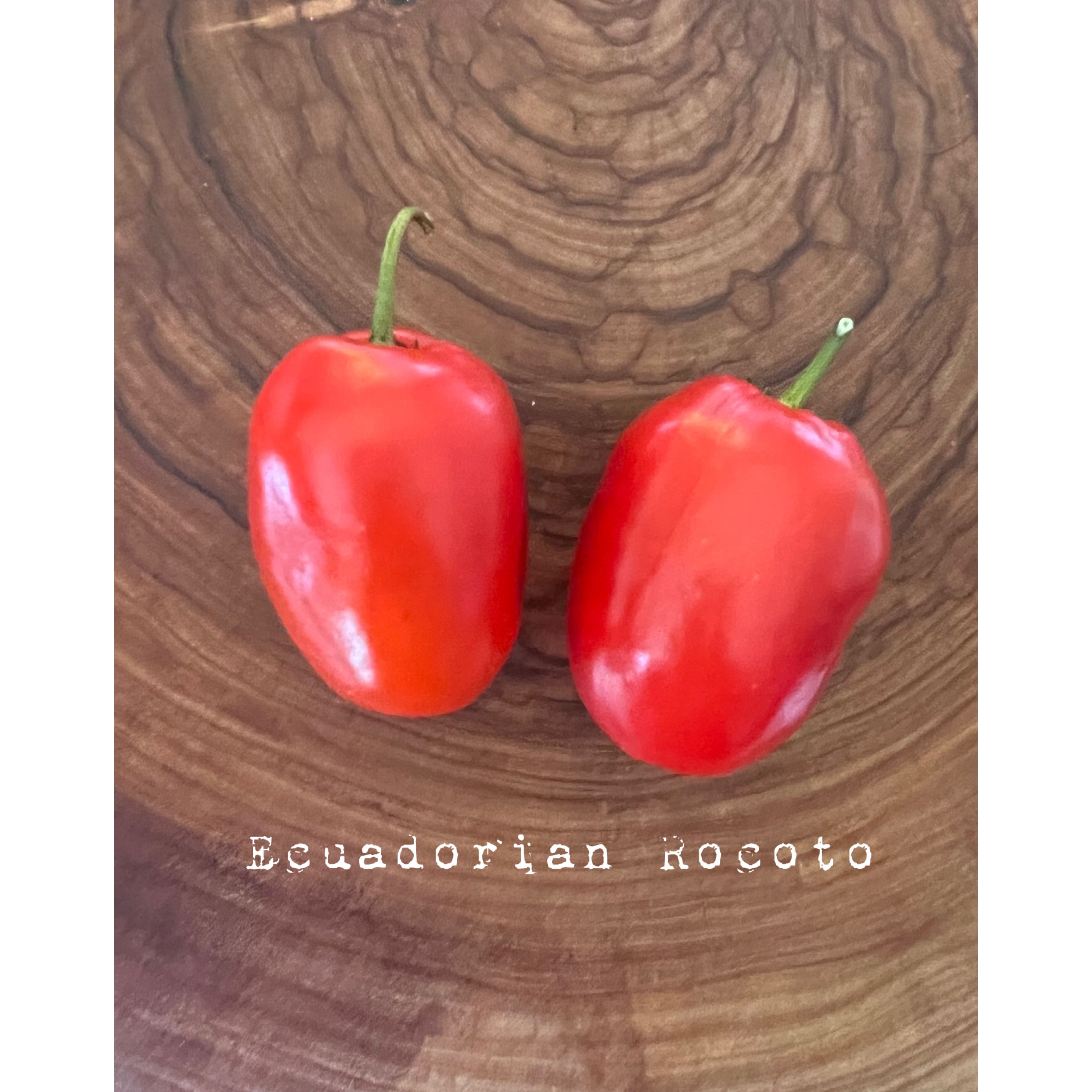 Rocoto Ecuadorian - Hot Pepper Seeds – Twelfth Fire Hot Pepper Co.