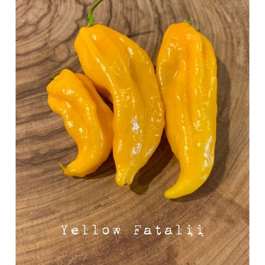 Fatalii - Yellow (Heirloom) - Hot Pepper Seeds