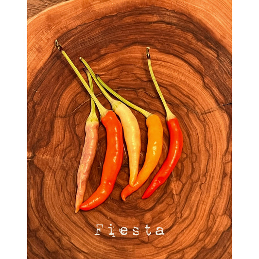 Fiesta- Hot Pepper Seeds