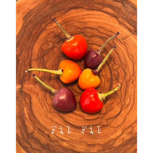 Fil Fil - Hot Pepper Seeds