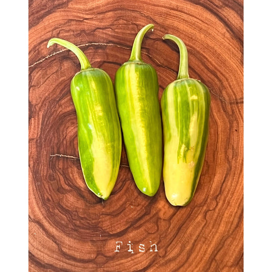 Fish - Hot Pepper Seeds