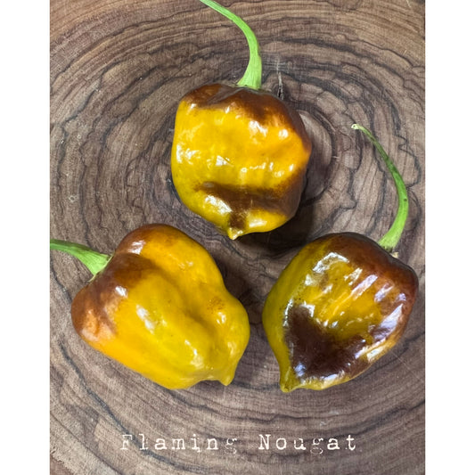 Flaming Nougat - Dehydrated Hot Pepper Pods