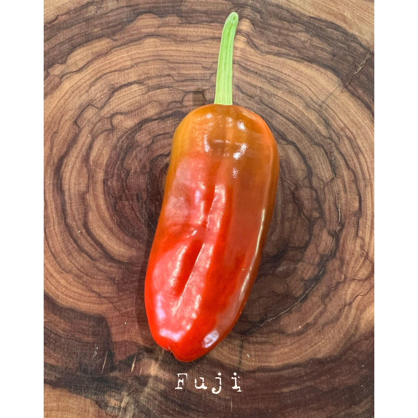 Fuji - Hot Pepper Seeds