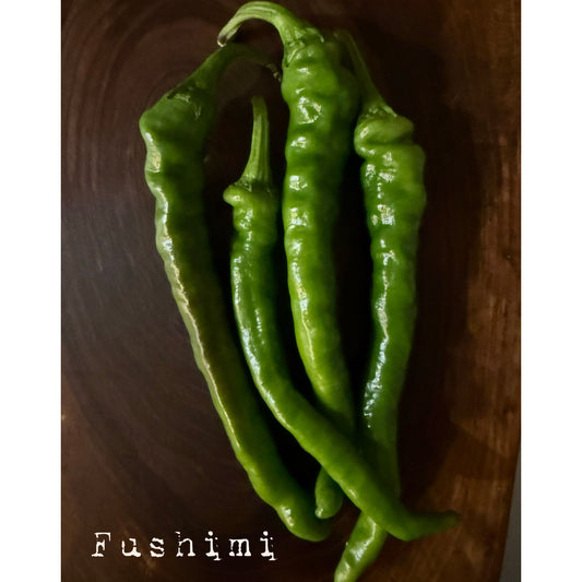 Fushimi Hot Pepper Seeds