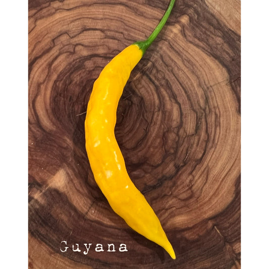 Guyana - Hot Pepper Seeds