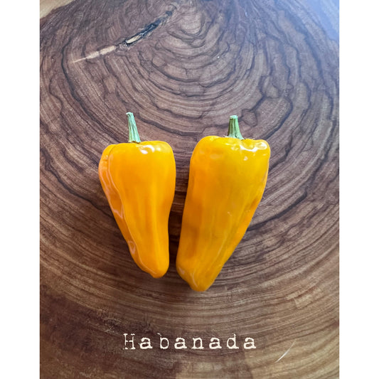 Habanada - Hot Pepper Seeds