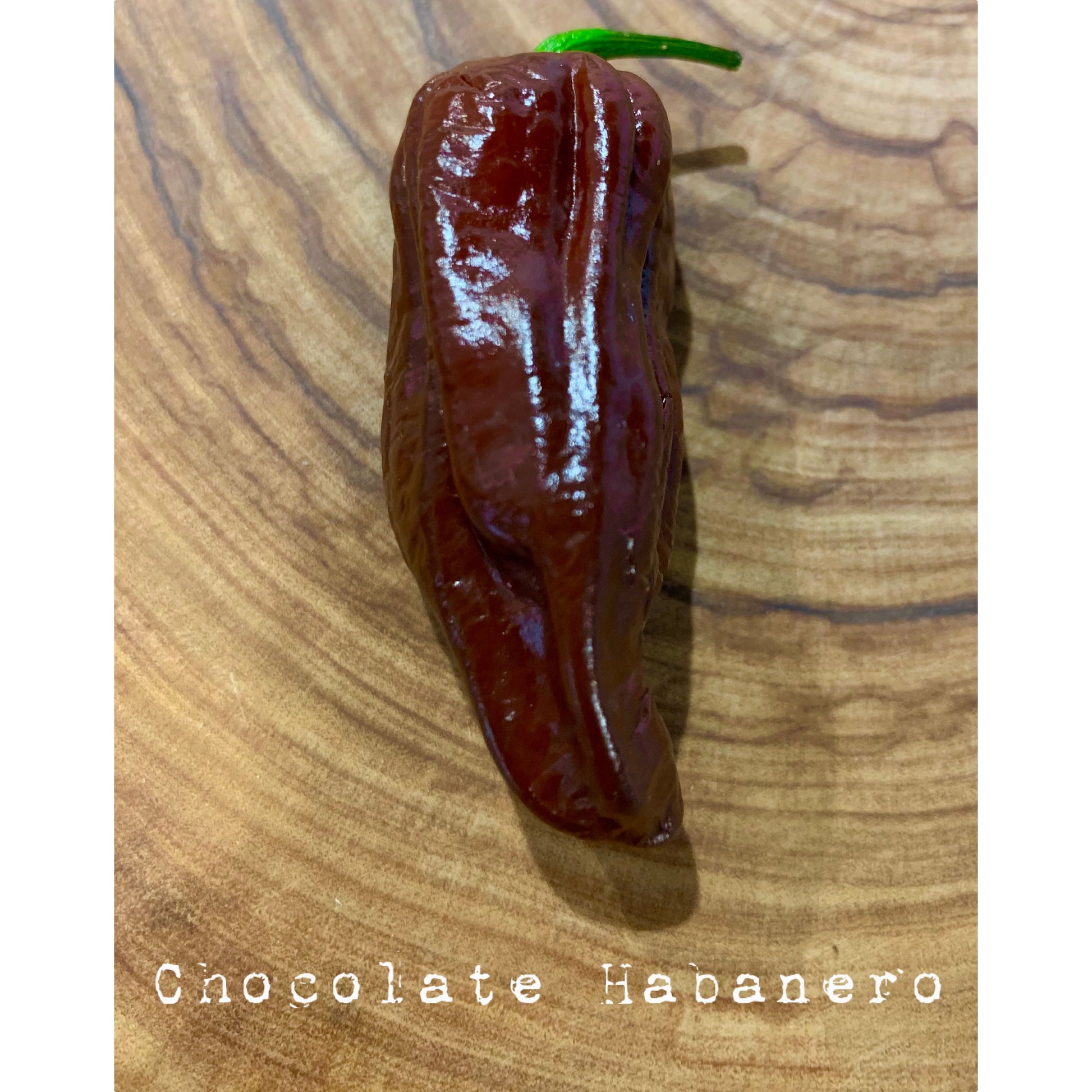 Habanero - Chocolate - Hot Pepper Seeds