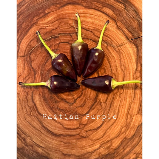 Haitian Purple - Hot Pepper Seeds